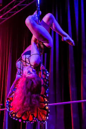 Mad Hatter's Tea Party112967