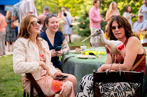 Ready to Hatch – Tracy Aviary’s Signature Spring Fundraise5854