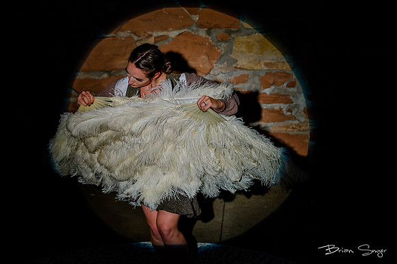 Birdlesque55989