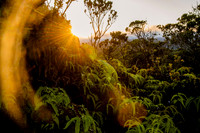 Kauai 2022135841