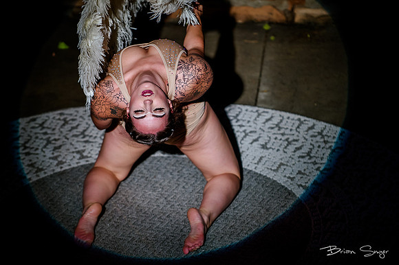 Birdlesque56115