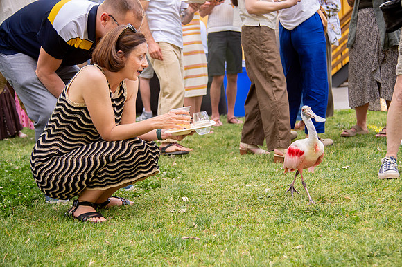 Ready to Hatch – Tracy Aviary’s Signature Spring Fundraise5827