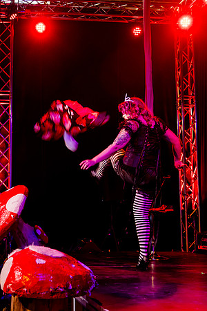 Mad Hatter's Tea Party112527