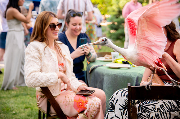 Ready to Hatch – Tracy Aviary’s Signature Spring Fundraise5860