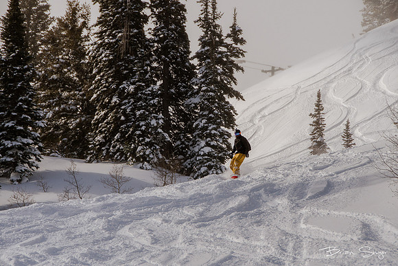 ski snowbasin_DSC9385