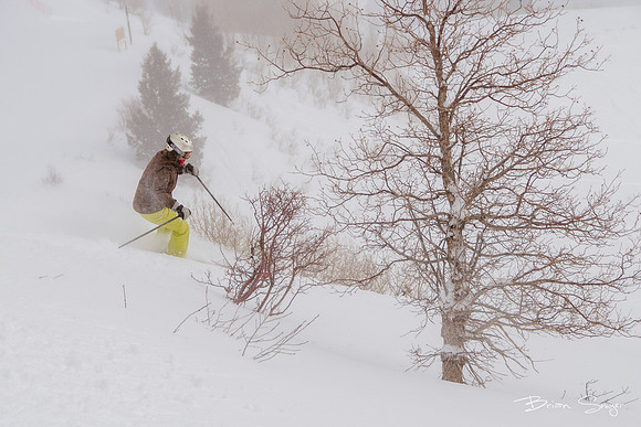 ski snowbasin_DSC9697