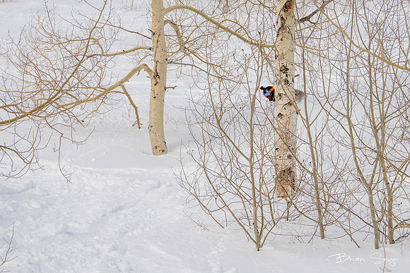 ski snowbasin_DSC0184