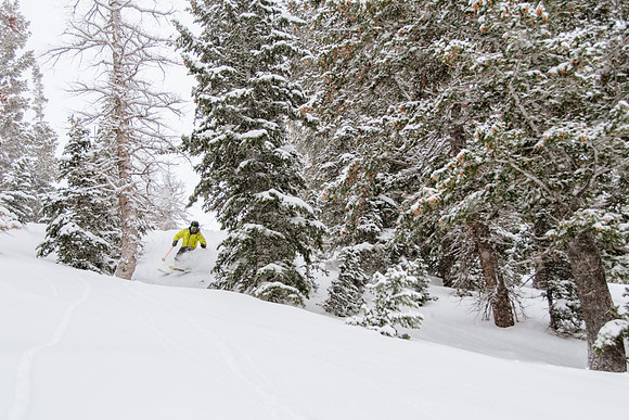 Phil Cannon at Snowbasin 1-12-17-9049