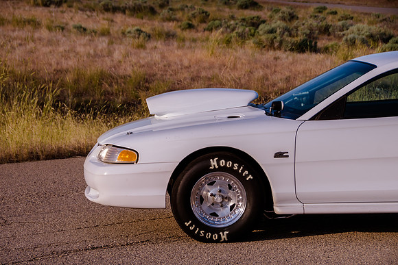 Race Car Mustang-1630