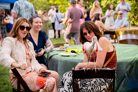 Ready to Hatch – Tracy Aviary’s Signature Spring Fundraise5851