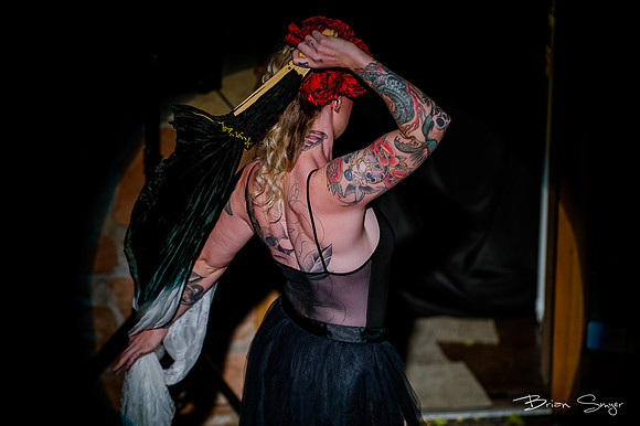 Birdlesque56490