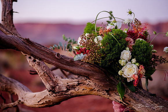 Clifftop Wedding on Hell's Backbone -7159