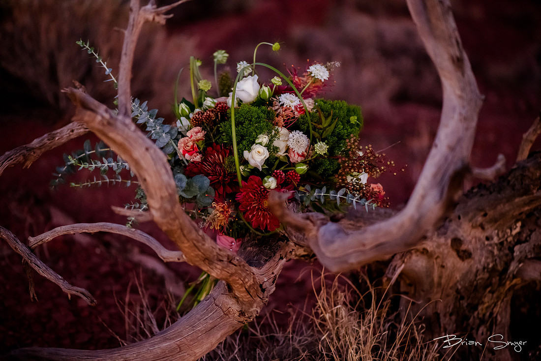Clifftop Wedding on Hell's Backbone -7224