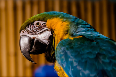_DSC5514