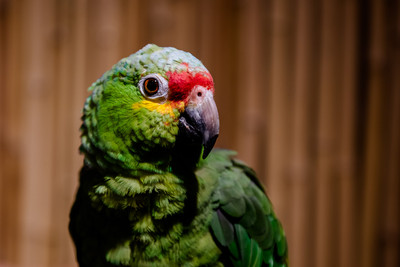 _DSC5896