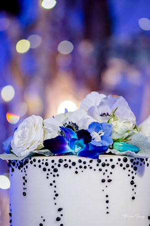 George and Jana's wedding at Monaco Hotel and Pierpont Place-2370