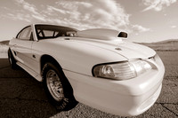 Race Car Mustang-0825