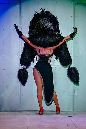 Birdlesque Takes Flight: Burlesque Meets Nature at Tracy Aviary’s Fundraising Cabaret