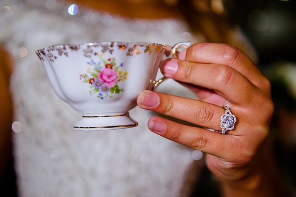 Bride Inspiration at Cactus and Tropicals-PC Smyer Image-6814