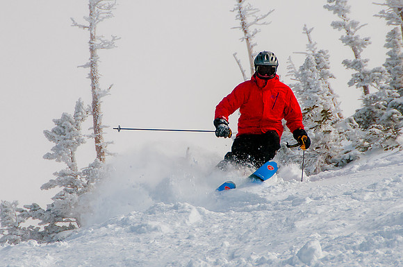 Smokey hitting the pow at Snowbird