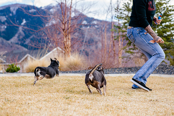 pets (84 of 271)