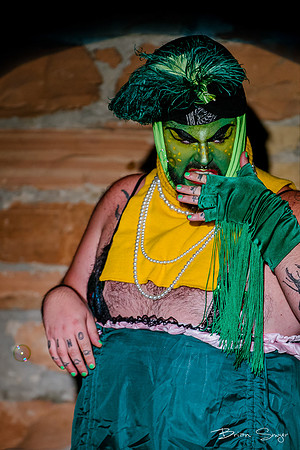 Birdlesque56206