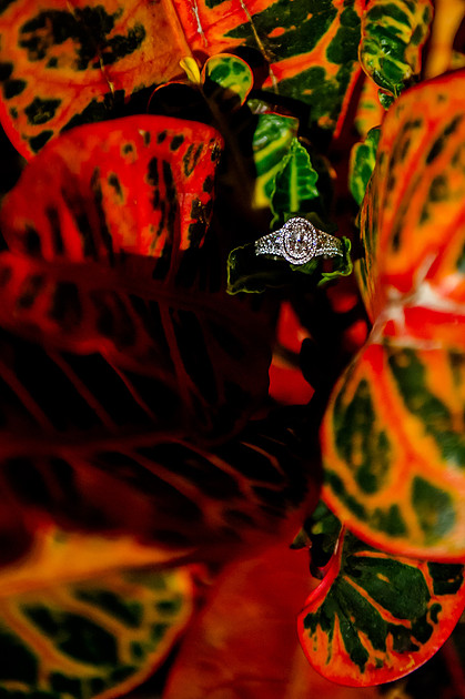 Bride Inspiration at Cactus and Tropicals-PC Smyer Image-6870