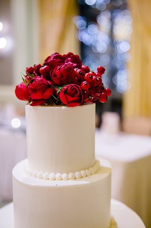 Keith and Leah Wedding 12-18-16-0553
