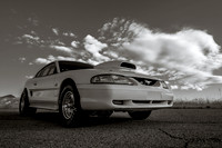 Race Car Mustang-0804
