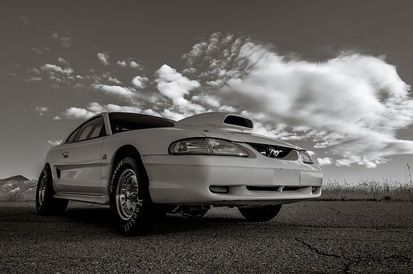Race Car Mustang-0804
