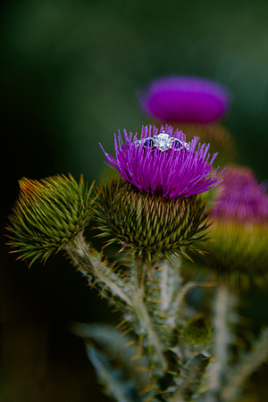 First Look_DSC9564