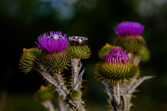 First Look_DSC9577