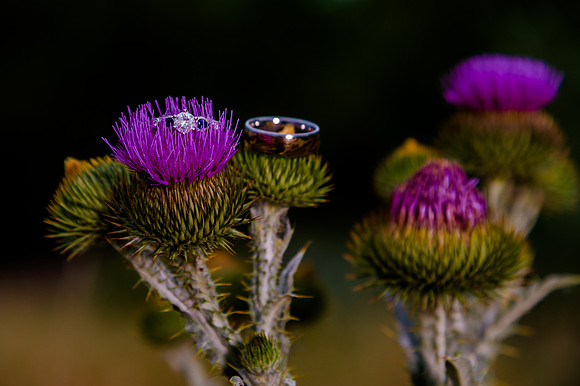 First Look_DSC9578