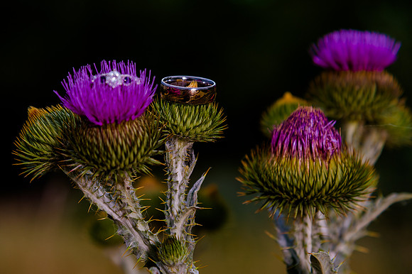 First Look_DSC9580
