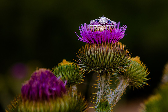 First Look_DSC9584