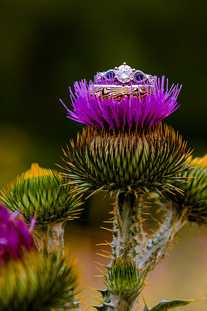 First Look_DSC9586