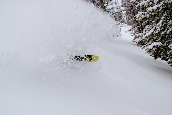 Phil Cannon at Snowbasin 1-12-17-8745