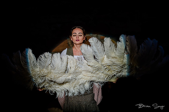 Birdlesque55995