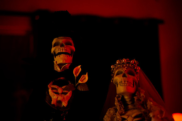 Herrmann Halloween-1354
