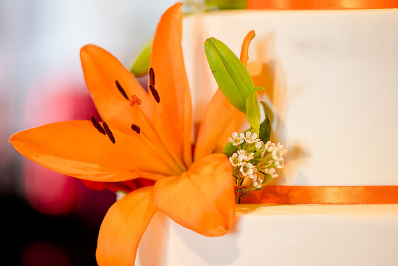 Pierpont Place Wedding Details-2166