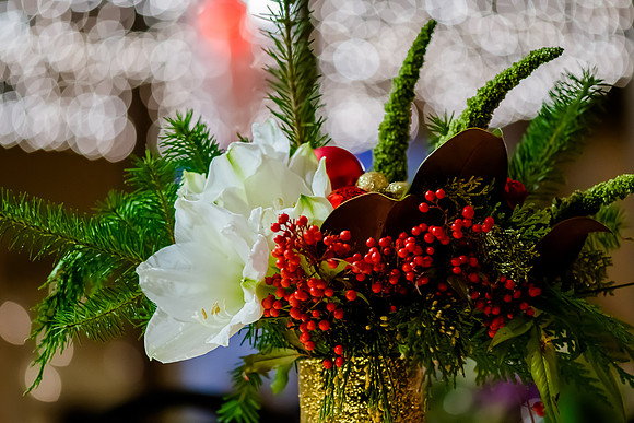 2018 Strayer University Holiday Party at Pierpont Place _DSC6388