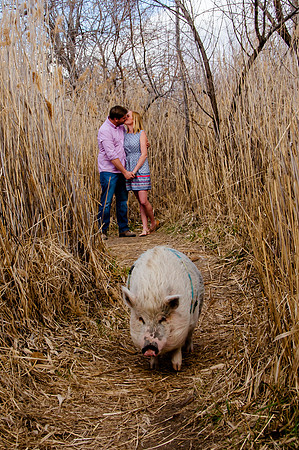 Ziggy Jay and Kristin-1280