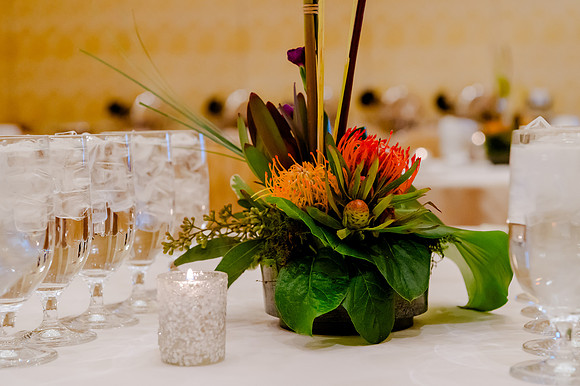 Celebration of Life for Dr. William Iyeo Higuchi: A Timeless Tribute at the Grand America Hotel