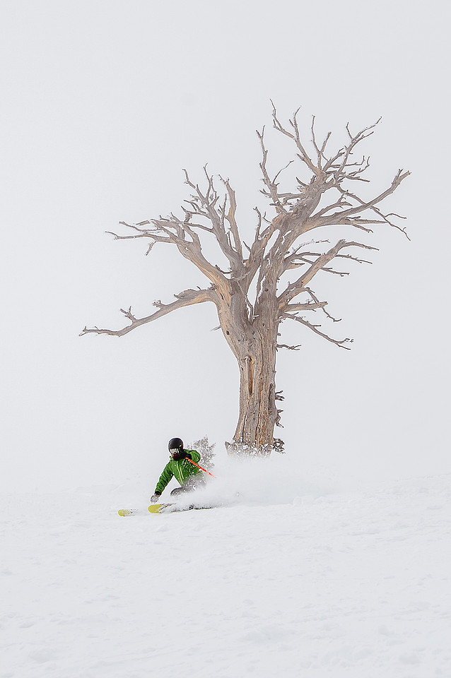 3-31-16 Snowbasin Ski-6650