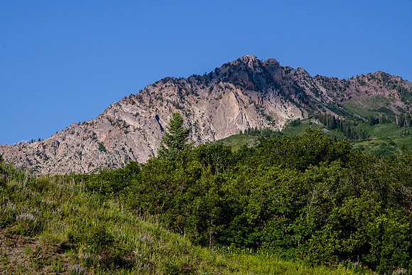 Mountain Biking 7832