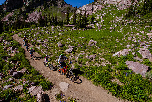 Mountain Biking 8542