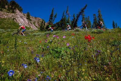 Mountain Biking 8629