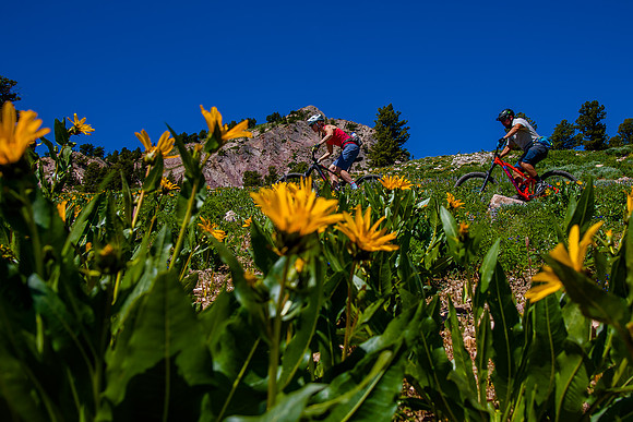 Mountain Biking 7690