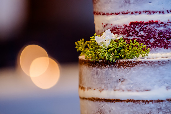 Needles Wedding 3-23-19_DSC6025