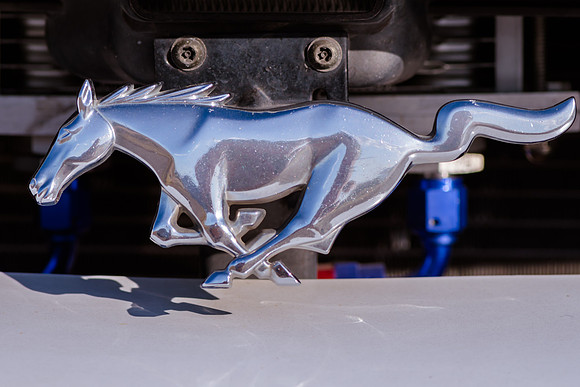 Race Car Mustang-1441